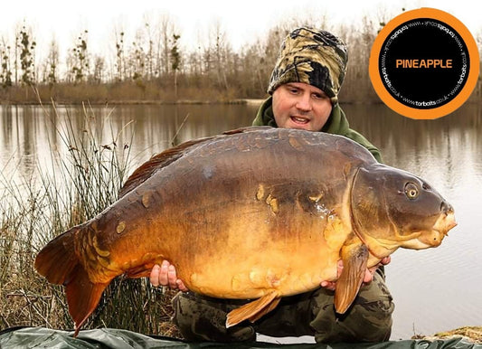 Catch Report: Adam Davis