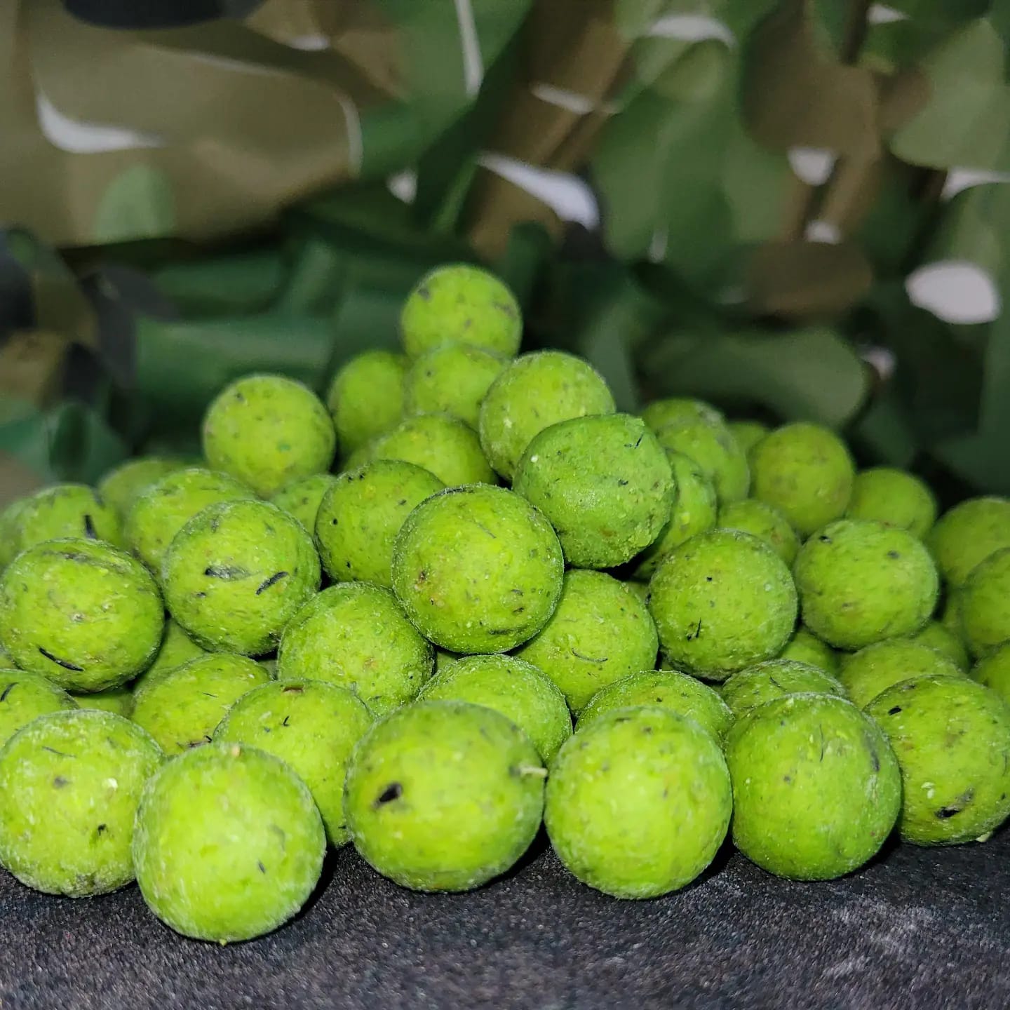 Premium Boilies: GLM (Green Lipped Mussel)