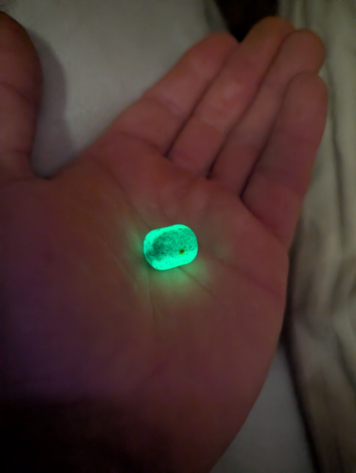 NocTORnal Wafters TorBaits