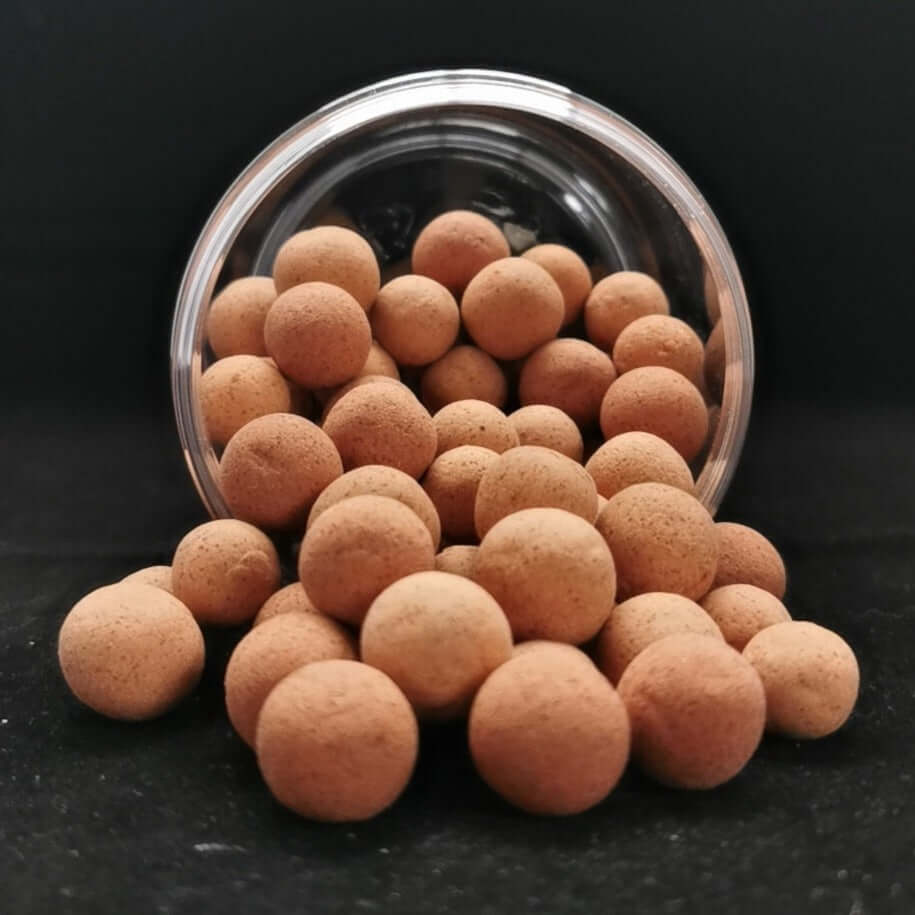 Pop-Ups TorBaits