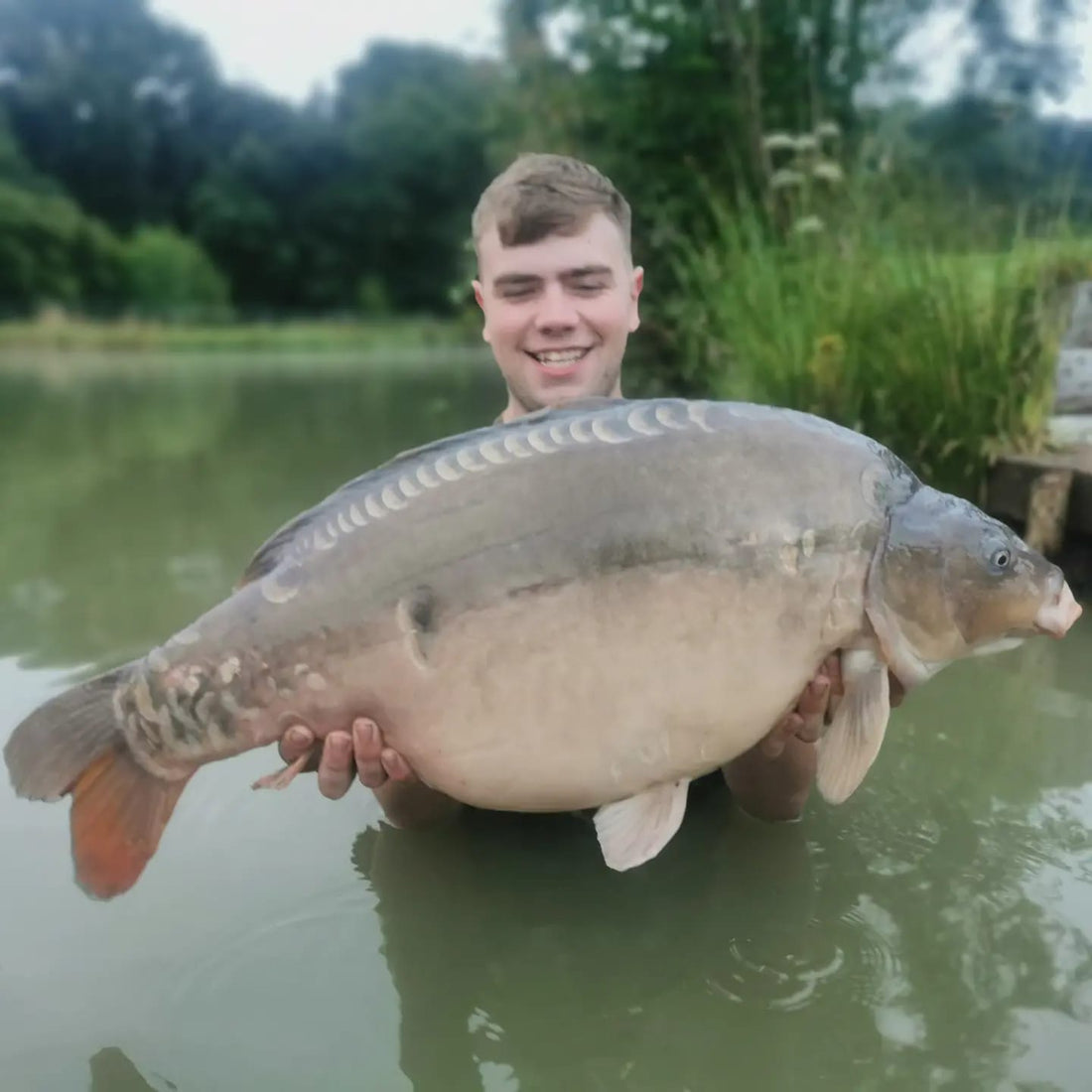 Session Report: Harry Sykes