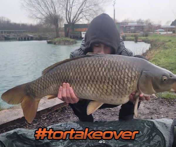 Catch Report: Harley Gratton