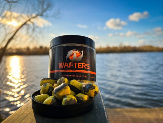 How to Read a Lake and Find Where Carp Are Feeding