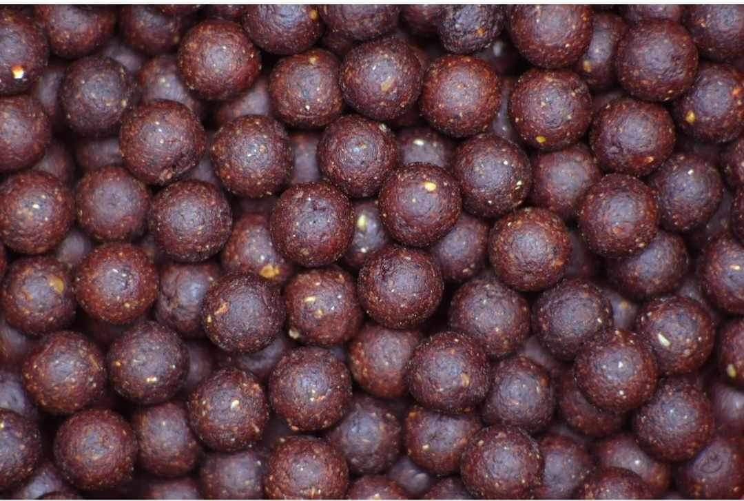 Why Summer Is the Best Time to Fish with High-Attract Boilies