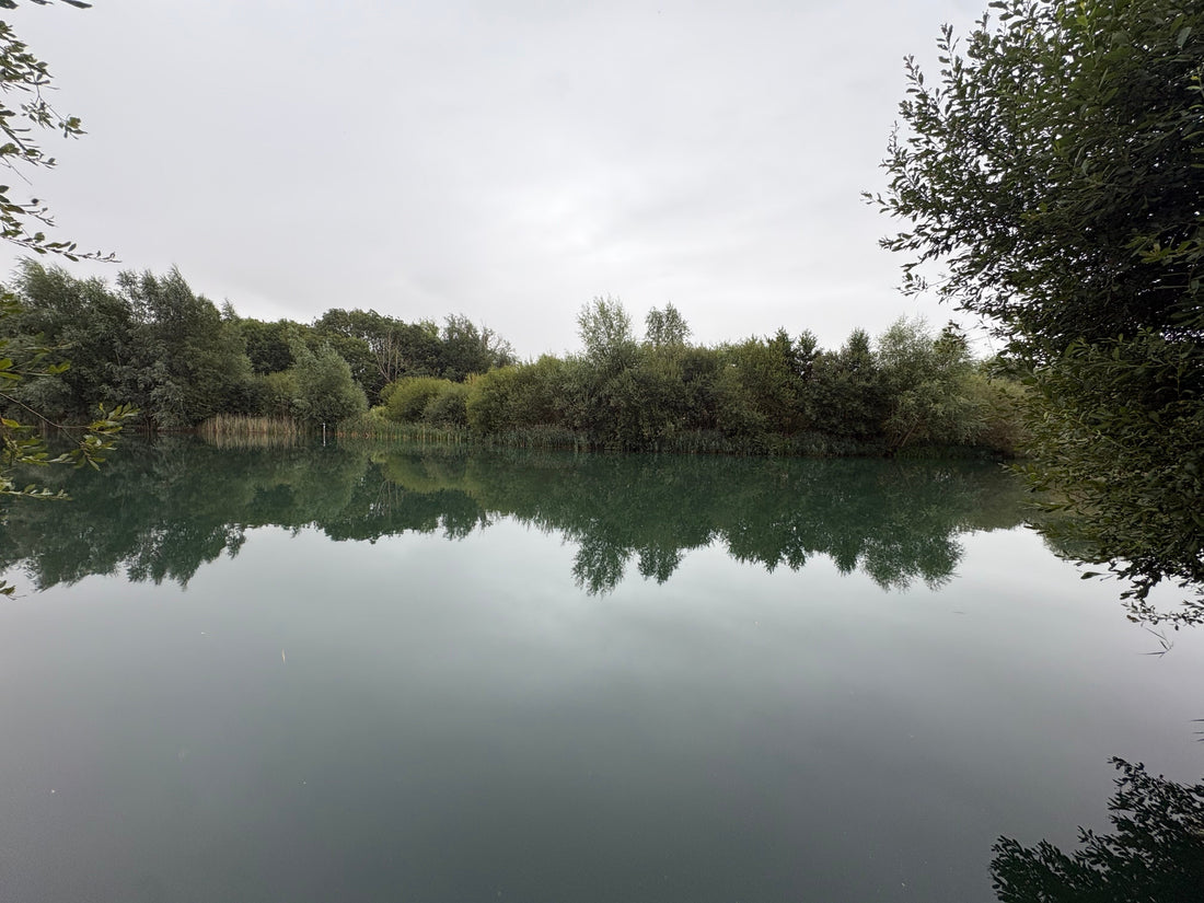 The Best Carp Fishing Rigs for Weedy Lakes