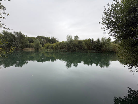 The Best Carp Fishing Rigs for Weedy Lakes