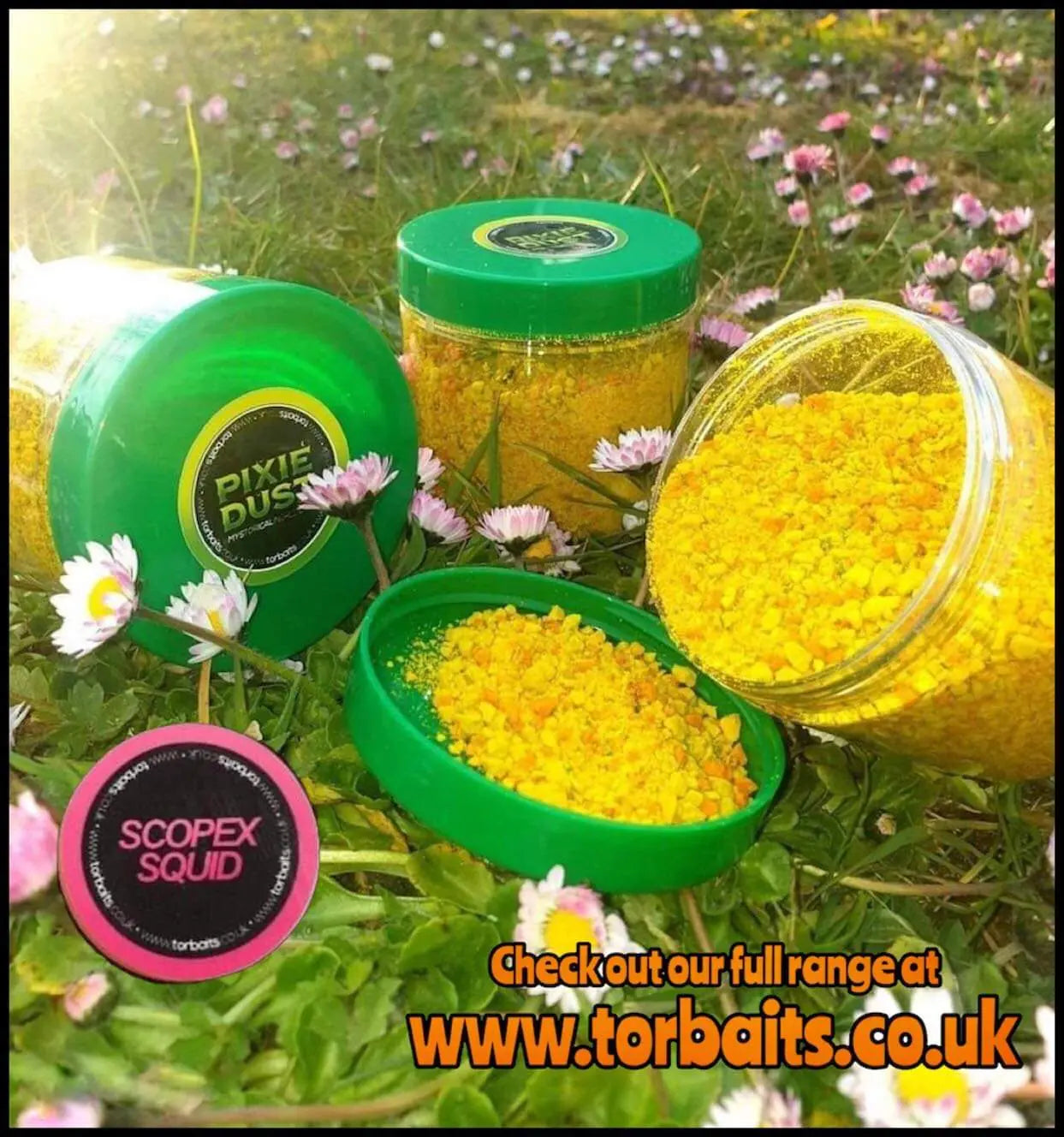 Collections – TorBaits
