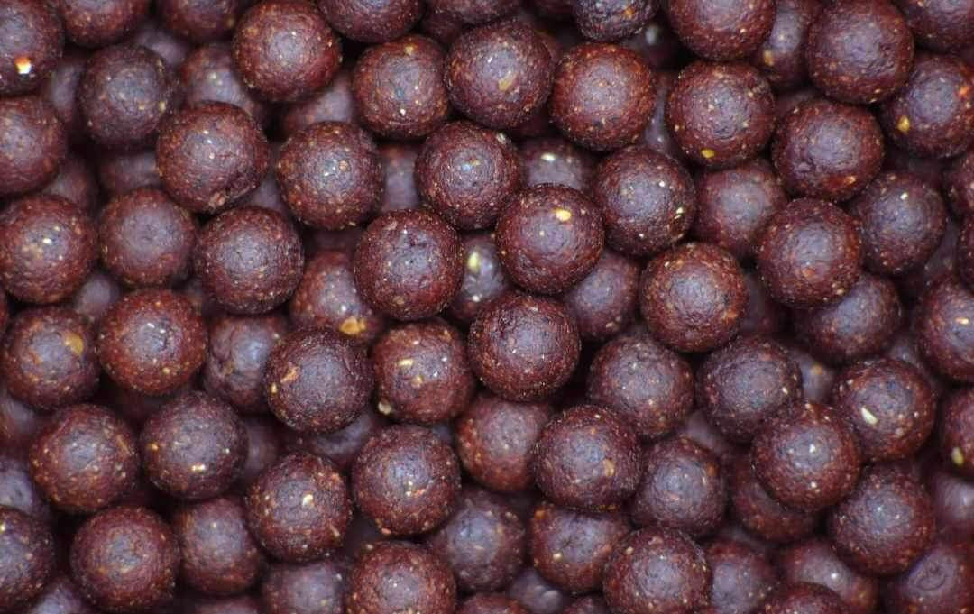 Premium Boilies: Squido (Squid & Orange) TorBaits