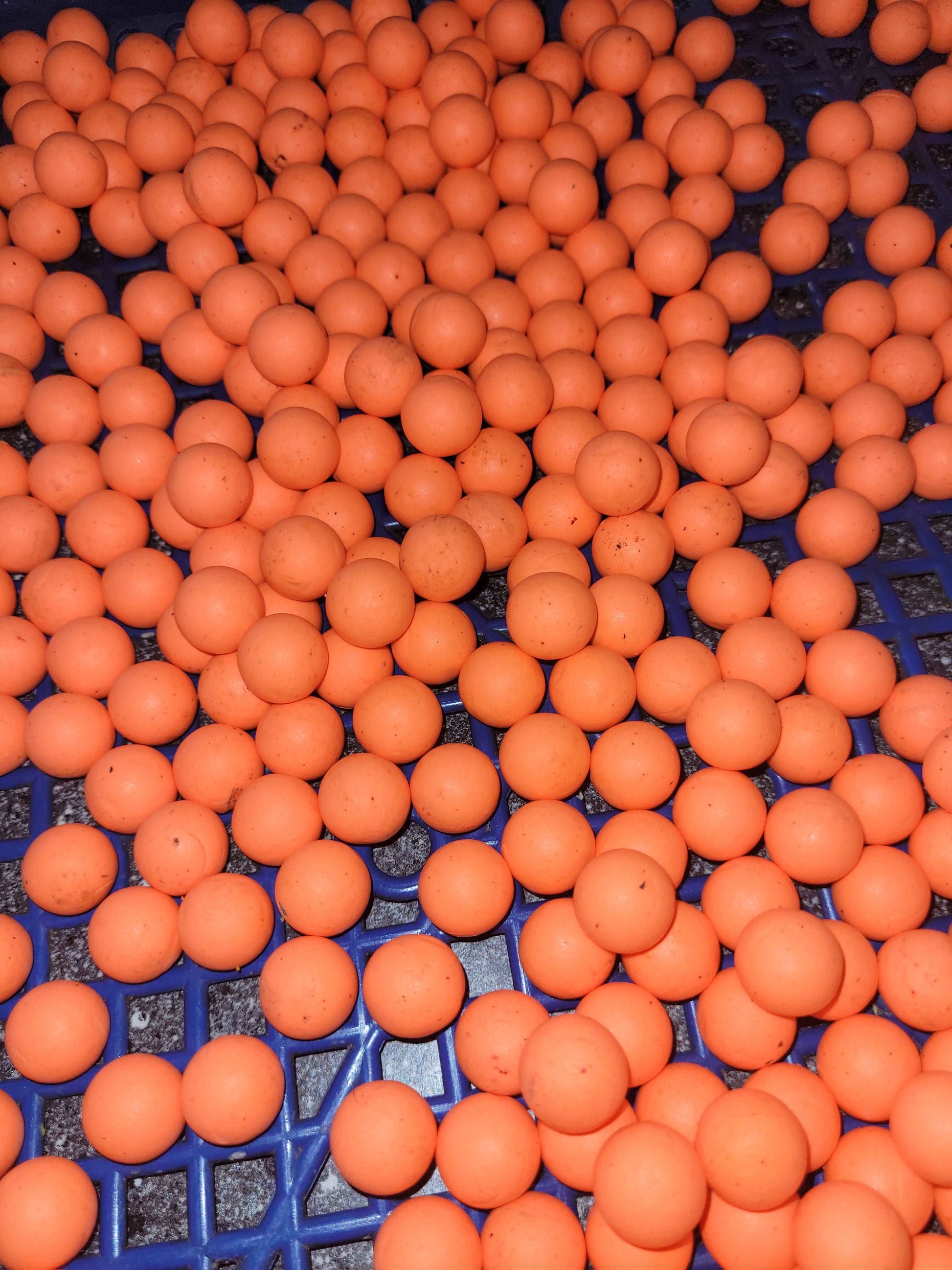 Ltd Edition Chocolate orange pop ups