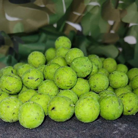 GLM Boilies (Green Lipped Mussel) TorBaits