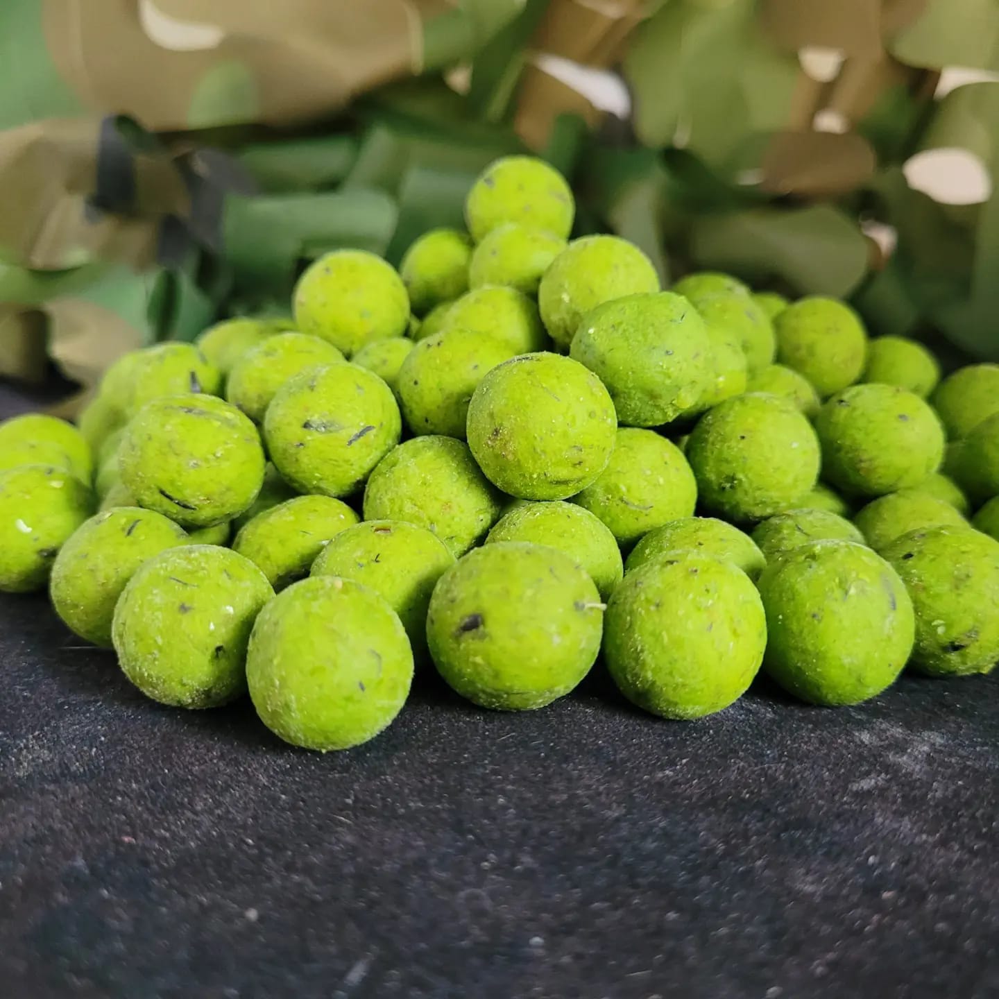 GLM Boilies (Green Lipped Mussel) TorBaits