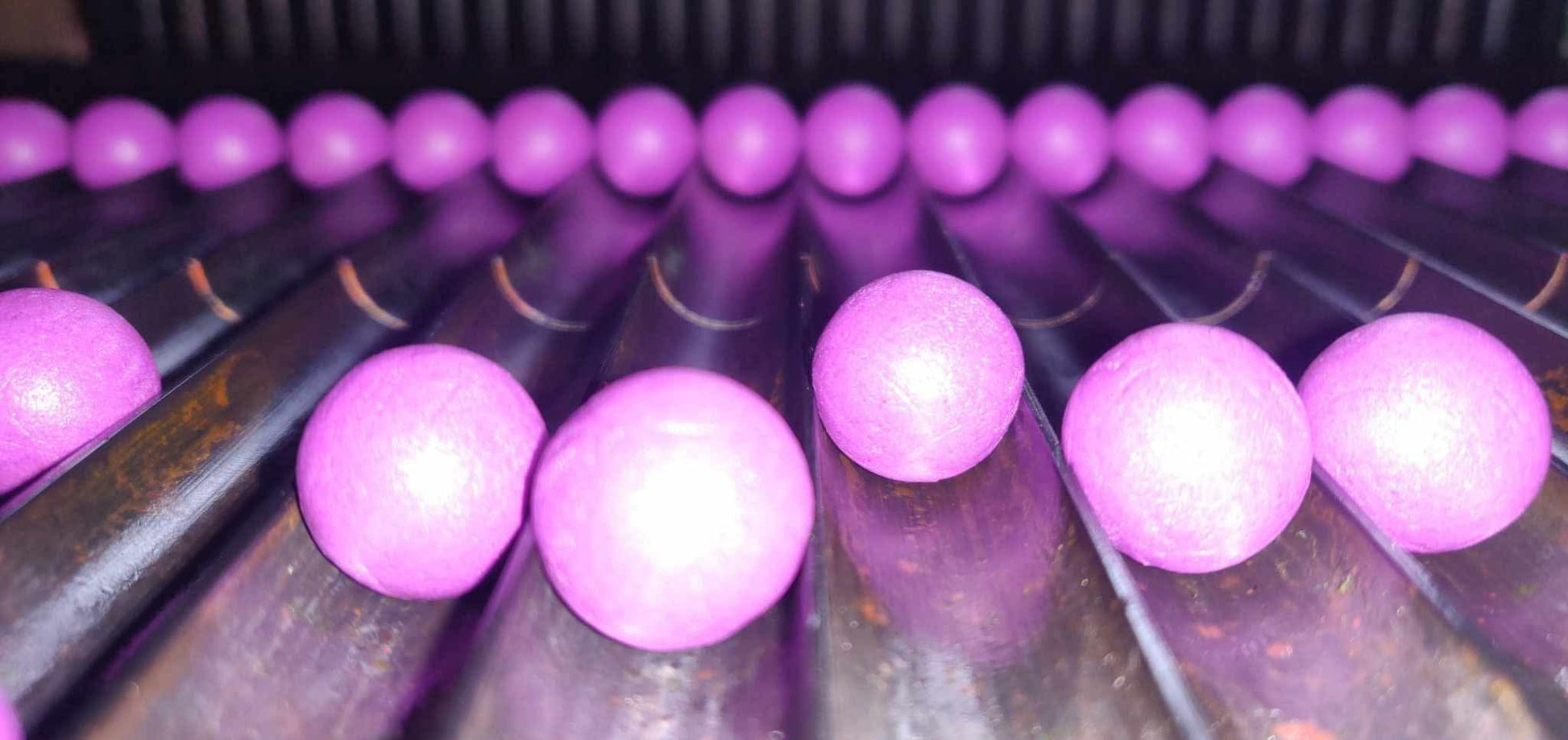 ‘PURPZ’ Limited edition purple hookbaits TorBaits