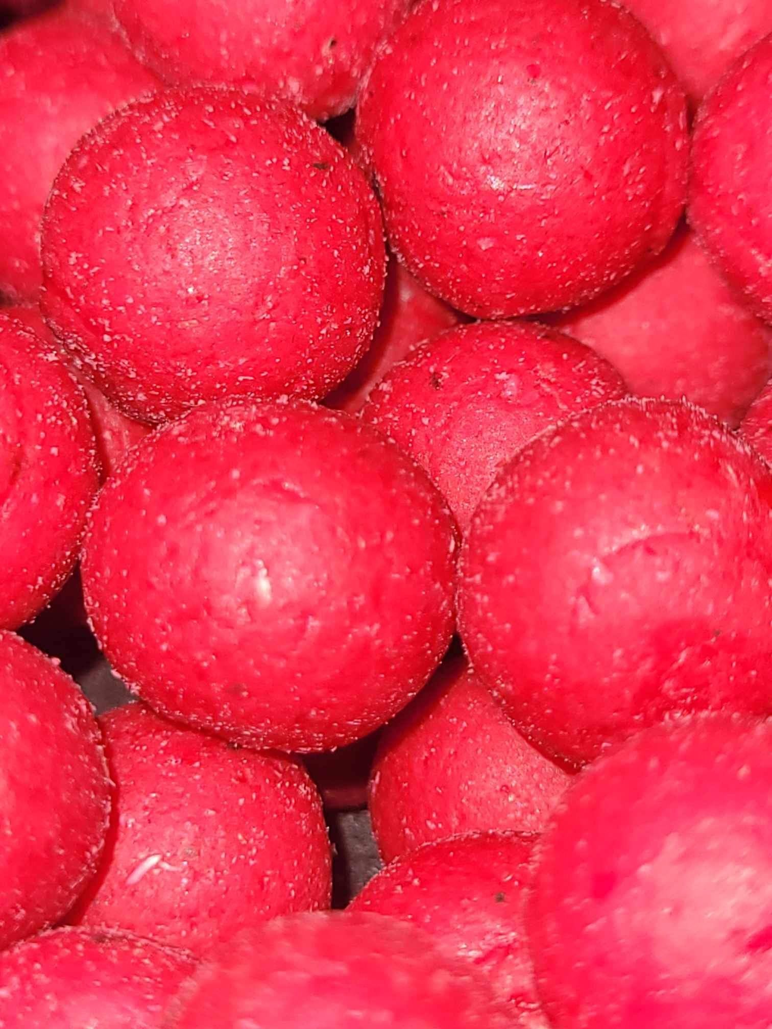 Premium Boilies: Cherry Bomb 1kg TorBaits