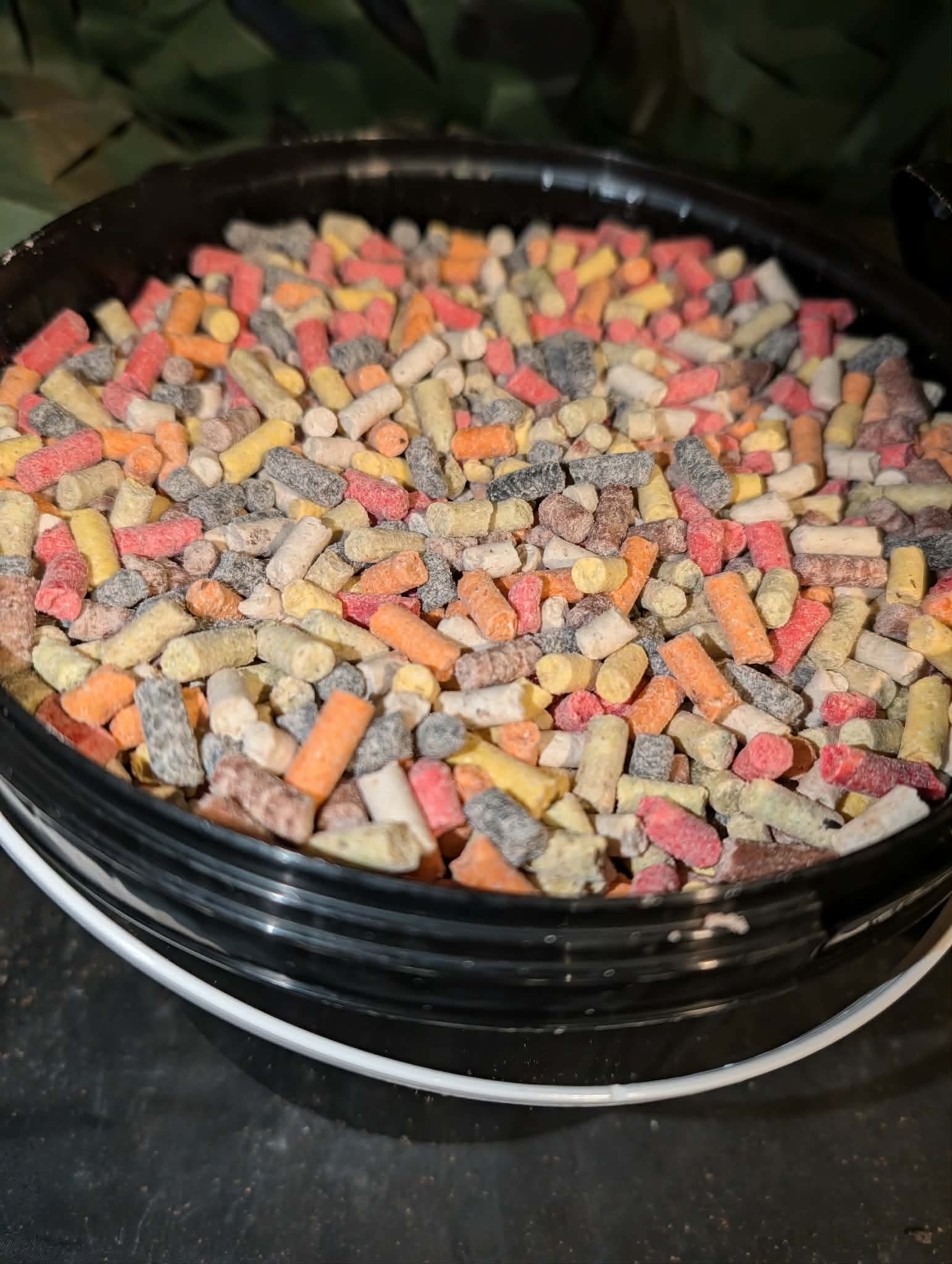Pic n Mix pellets (2kg) TorBaits