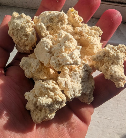 Pop-Up Bread & Bread Sauce Bundle TorBaits