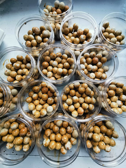 Snail HookBaits